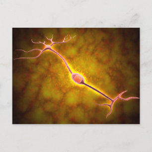 Microscopisch Uitzicht van een bipolaire neuron Briefkaart