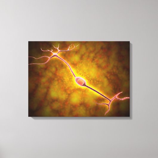 Microscopisch Uitzicht van een bipolaire neuron Canvas Afdruk (Voorkant)