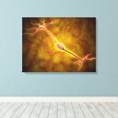 Microscopisch Uitzicht van een bipolaire neuron Canvas Afdruk (Insitu (Houten vloer))