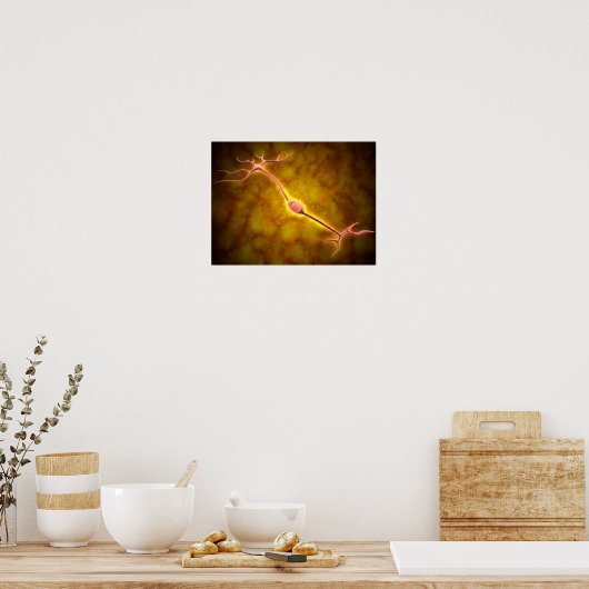 Microscopisch Uitzicht van een bipolaire neuron Poster (Keuken)