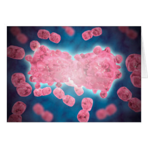 Microscopisch Uitzicht van een groep leukemiecelle