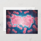 Microscopisch Uitzicht van een groep leukemiecelle Briefkaart (Voorkant / Achterkant)