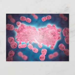 Microscopisch Uitzicht van een groep leukemiecelle Briefkaart