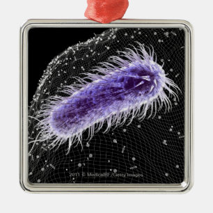 Microscopisch uitzicht van een helicobacter pylori metalen ornament