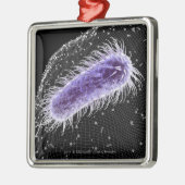 Microscopisch uitzicht van een helicobacter pylori metalen ornament (Links)