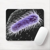 Microscopisch uitzicht van een helicobacter pylori muismat (Met muis)