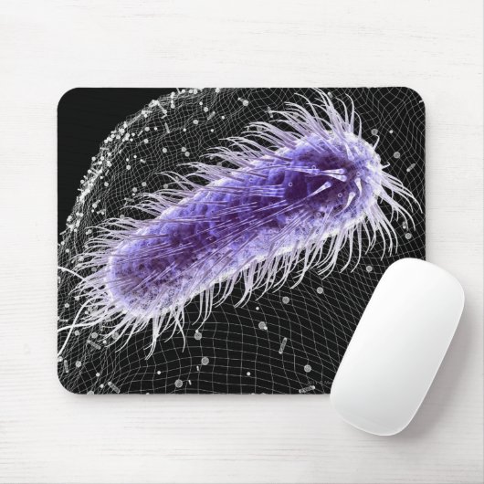 Microscopisch uitzicht van een helicobacter pylori muismat (Met muis)