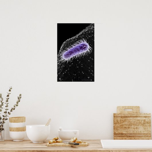 Microscopisch uitzicht van een helicobacter pylori poster (Keuken)