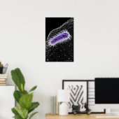 Microscopisch uitzicht van een helicobacter pylori poster (Thuiskantoor)