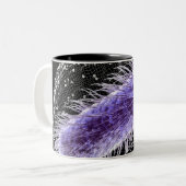 Microscopisch uitzicht van een helicobacter pylori tweekleurige koffiemok (Voorkant links)