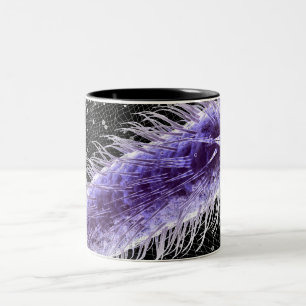 Microscopisch uitzicht van een helicobacter pylori tweekleurige koffiemok