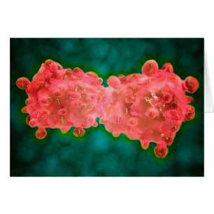 Microscopisch Uitzicht van een leukemiecel