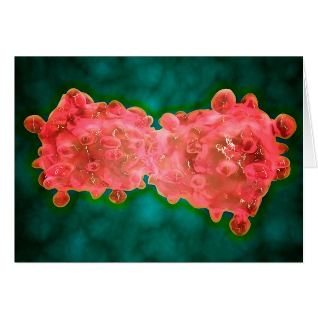 Microscopisch Uitzicht van een leukemiecel (Voorkant Horizontaal)