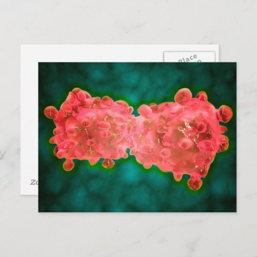 Microscopisch Uitzicht van een leukemiecel Briefkaart (Voorkant / Achterkant)