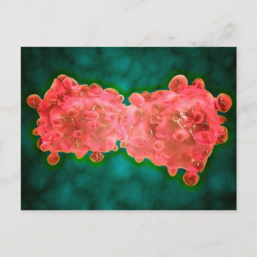 Microscopisch Uitzicht van een leukemiecel Briefkaart (Voorkant)