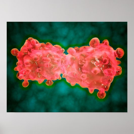 Microscopisch Uitzicht van een leukemiecel Poster (Voorkant)