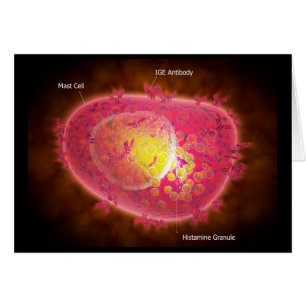 Microscopisch Uitzicht van een mestcel