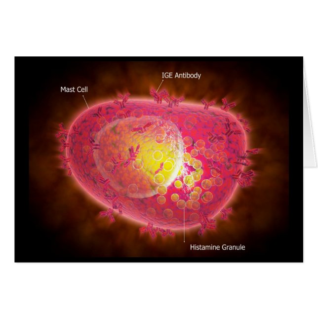 Microscopisch Uitzicht van een mestcel (Voorkant Horizontaal)