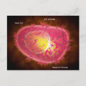 Microscopisch Uitzicht van een mestcel Briefkaart (Voorkant)