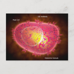 Microscopisch Uitzicht van een mestcel Briefkaart