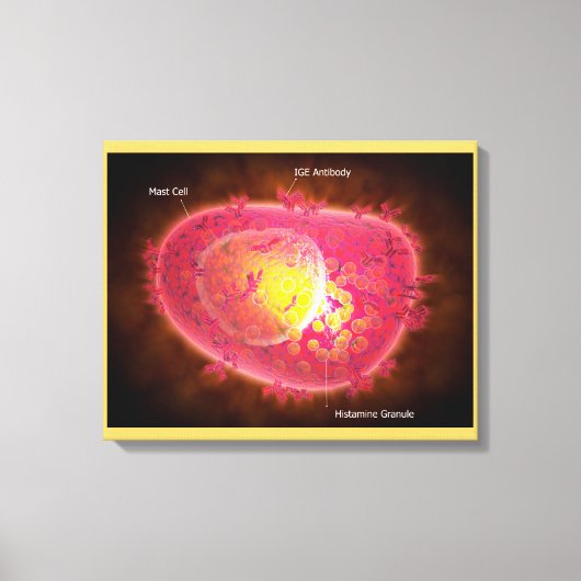 Microscopisch Uitzicht van een mestcel Canvas Afdruk (Voorkant)