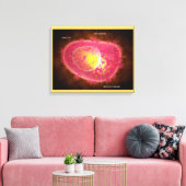 Microscopisch Uitzicht van een mestcel Canvas Afdruk (Insitu (Woonkamer))