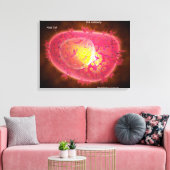 Microscopisch Uitzicht van een mestcel Canvas Afdruk (Insitu (Woonkamer))