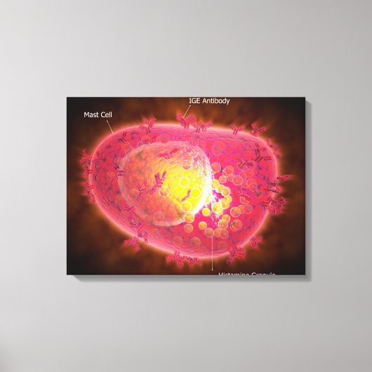 Microscopisch Uitzicht van een mestcel Canvas Afdruk (Voorkant)