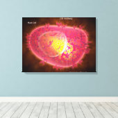 Microscopisch Uitzicht van een mestcel Canvas Afdruk (Insitu (Houten vloer))