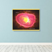 Microscopisch Uitzicht van een mestcel Canvas Afdruk (Insitu (Houten vloer))