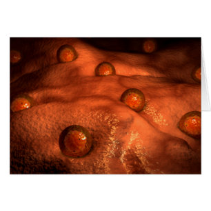 Microscopisch Uitzicht van eicellen