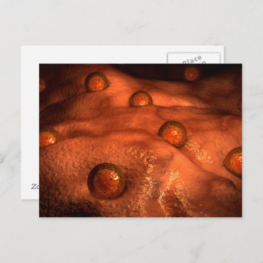 Microscopisch Uitzicht van eicellen Briefkaart (Voorkant / Achterkant)