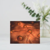 Microscopisch Uitzicht van eicellen Briefkaart (Staand voorkant)