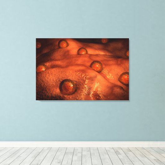 Microscopisch Uitzicht van eicellen Canvas Afdruk (Insitu (Houten vloer))