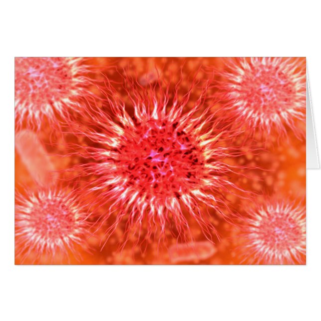 Microscopisch Uitzicht van endrimers 2 (Voorkant Horizontaal)