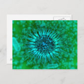 Microscopisch Uitzicht van endrimers 3 Briefkaart (Voorkant / Achterkant)