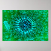 Microscopisch Uitzicht van endrimers 3 Poster (Voorkant)