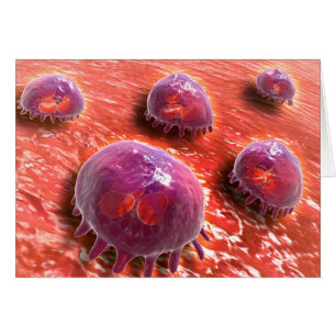 Microscopisch Uitzicht van fagocytaire macrofagen