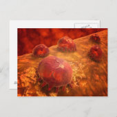 Microscopisch Uitzicht van fagocytaire macrofagen Briefkaart (Voorkant / Achterkant)