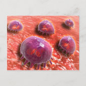 Microscopisch Uitzicht van fagocytaire macrofagen Briefkaart (Voorkant)