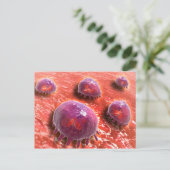 Microscopisch Uitzicht van fagocytaire macrofagen Briefkaart (Staand voorkant)