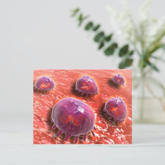 Microscopisch Uitzicht van fagocytaire macrofagen Briefkaart (Staand voorkant)