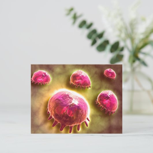 Microscopisch Uitzicht van fagocytaire macrofagen  Briefkaart (Staand voorkant)