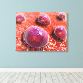 Microscopisch Uitzicht van fagocytaire macrofagen  Canvas Afdruk (Insitu (Houten vloer))