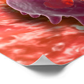 Microscopisch Uitzicht van fagocytaire macrofagen Poster (Hoek)