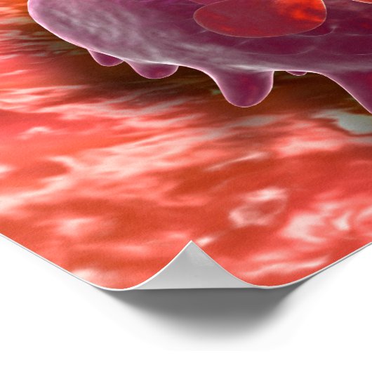 Microscopisch Uitzicht van fagocytaire macrofagen  Poster (Hoek)