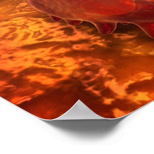 Microscopisch Uitzicht van fagocytaire macrofagen Poster (Hoek)