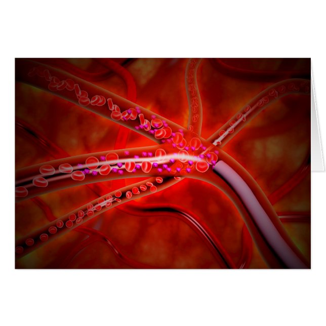 Microscopisch Uitzicht van het geïnjecteerde genee (Voorkant Horizontaal)