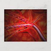 Microscopisch Uitzicht van het geïnjecteerde genee Briefkaart (Voorkant)