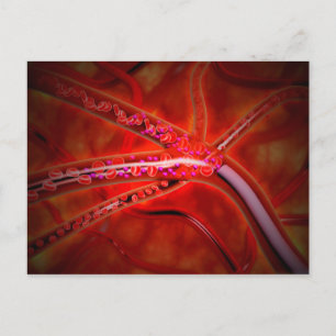 Microscopisch Uitzicht van het geïnjecteerde genee Briefkaart